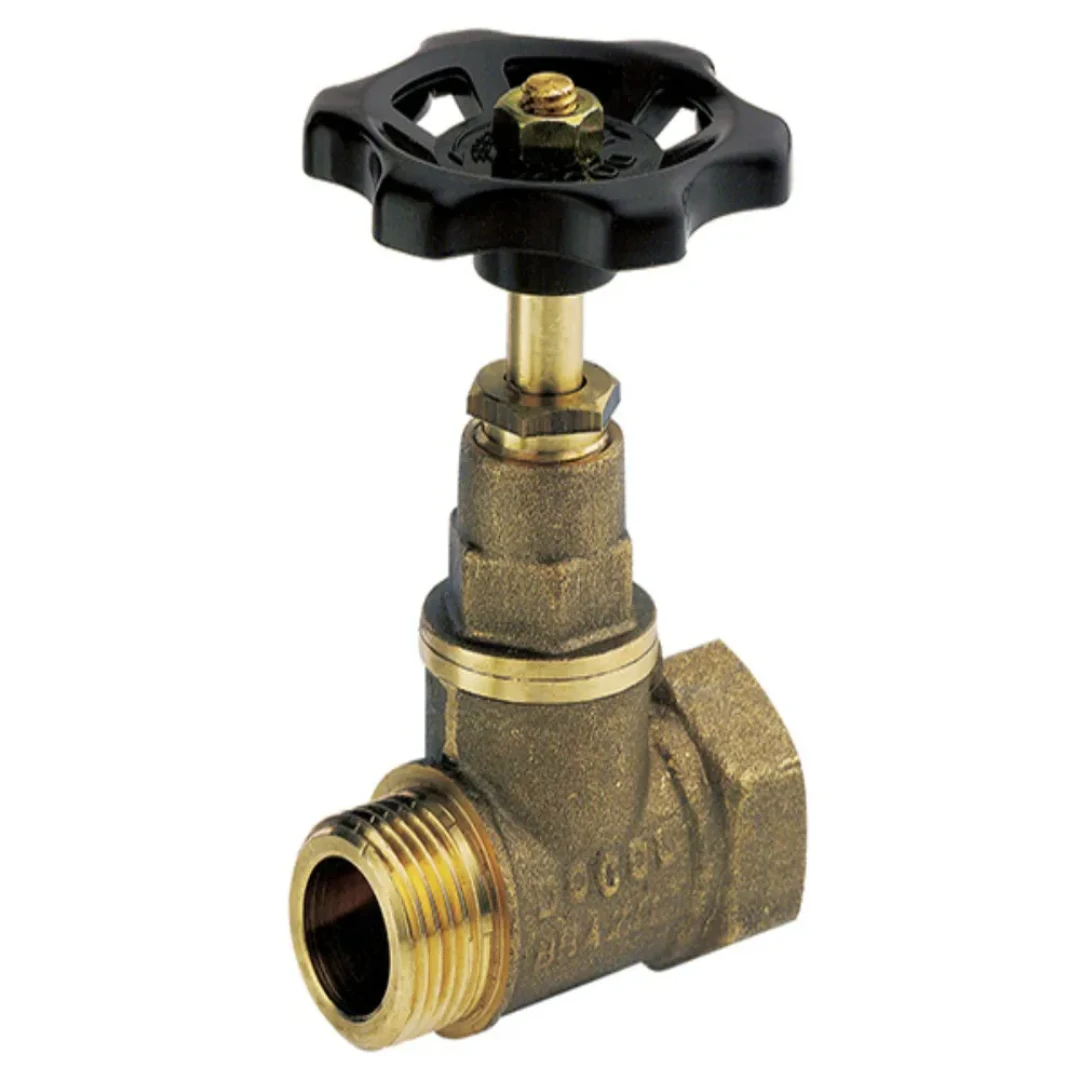 Registro Pressao Bruto Deca 1/2